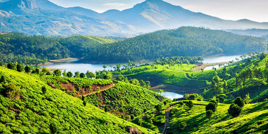 Misty Munnar Tour Package