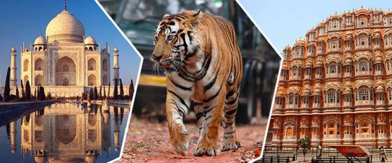 Golden Triangle Ganges & Tiger Tour