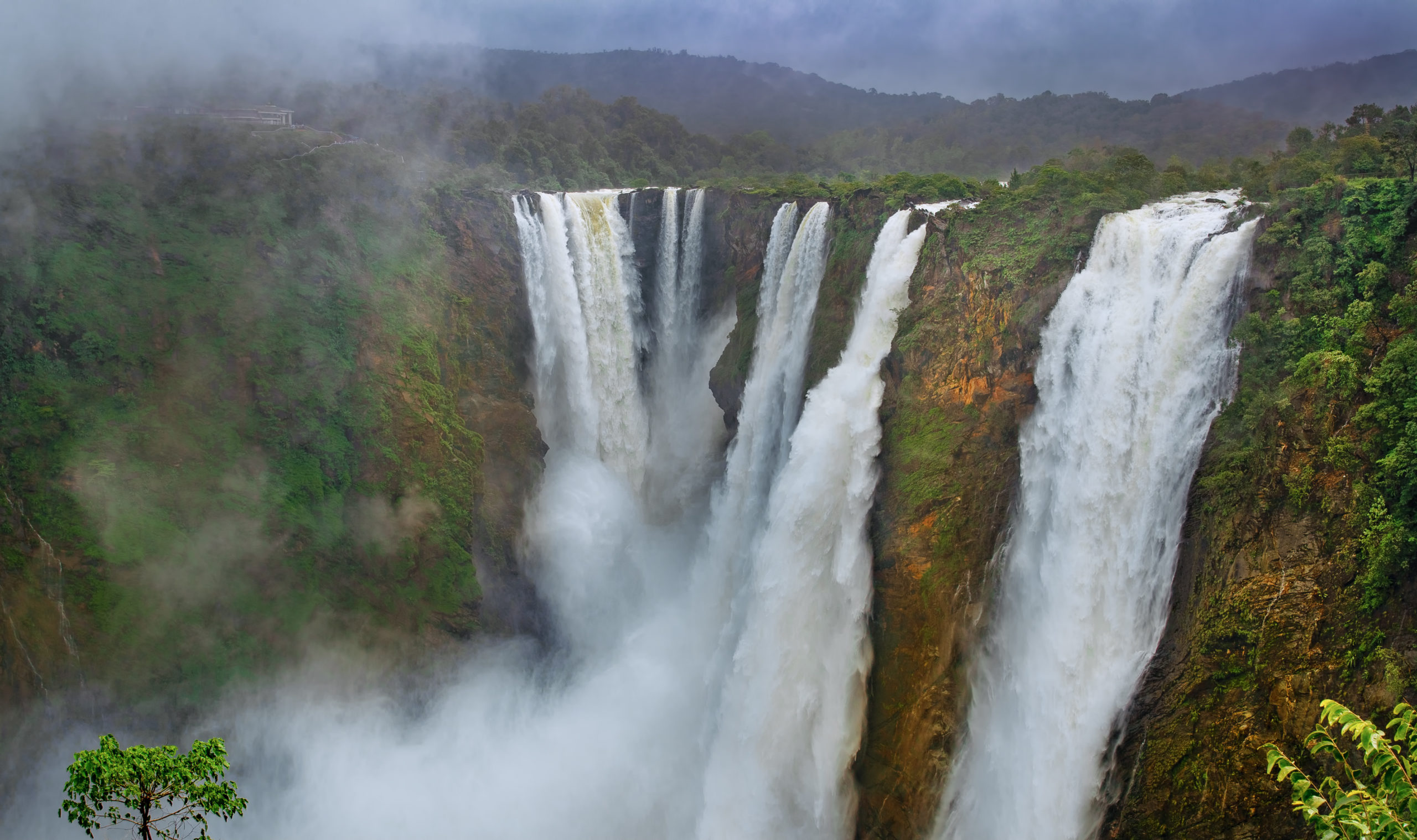 Shimoga Nature Tour Karnataka